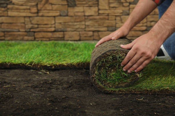 Artificial Grass Installation