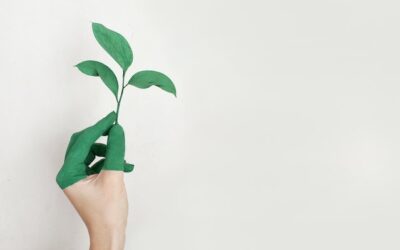 Going Green – 5 Reasons to Choose Eco-Friendly Paint