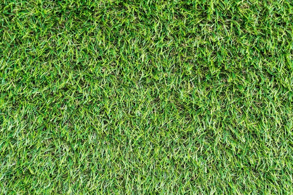 Close-up top view texture of premium K-9 turf synthetic grass blades