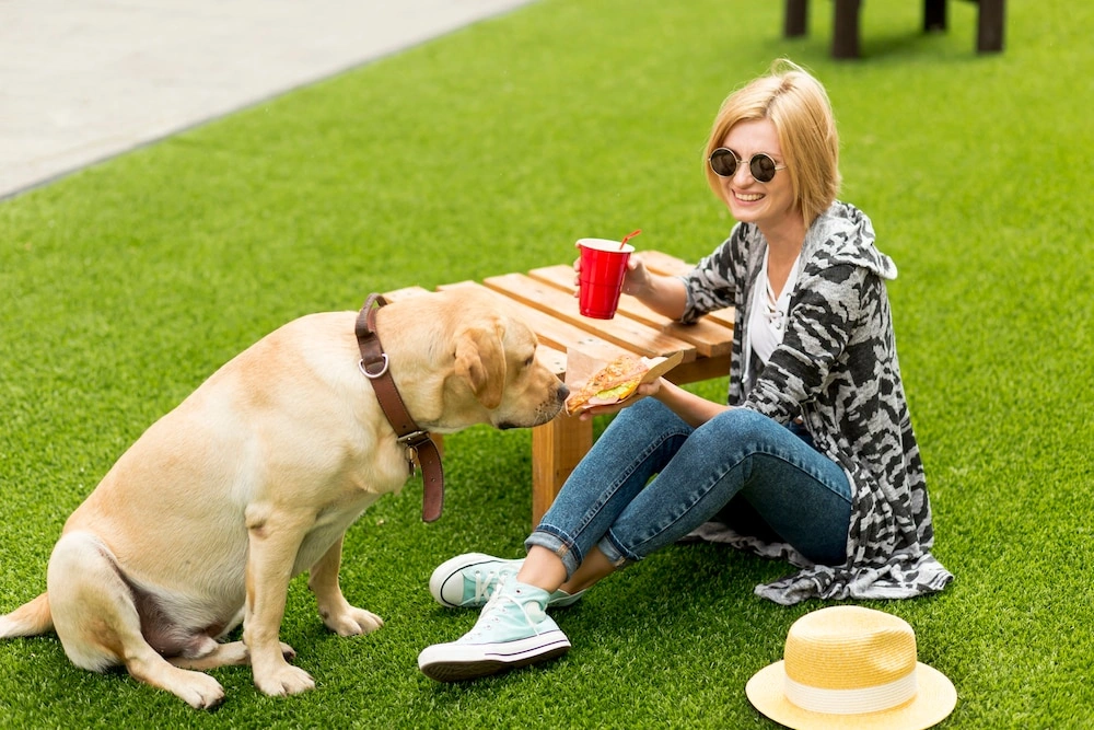 A woman sitting on clean K-9 turf artificial grass with her Labrador Retriever next to a patio table
